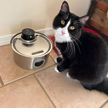 FONTAINE A EAU CHAT SANS FIL | RECHARGEABLE ET A CAPTEUR DE MOUVEMENT - Leschamour
