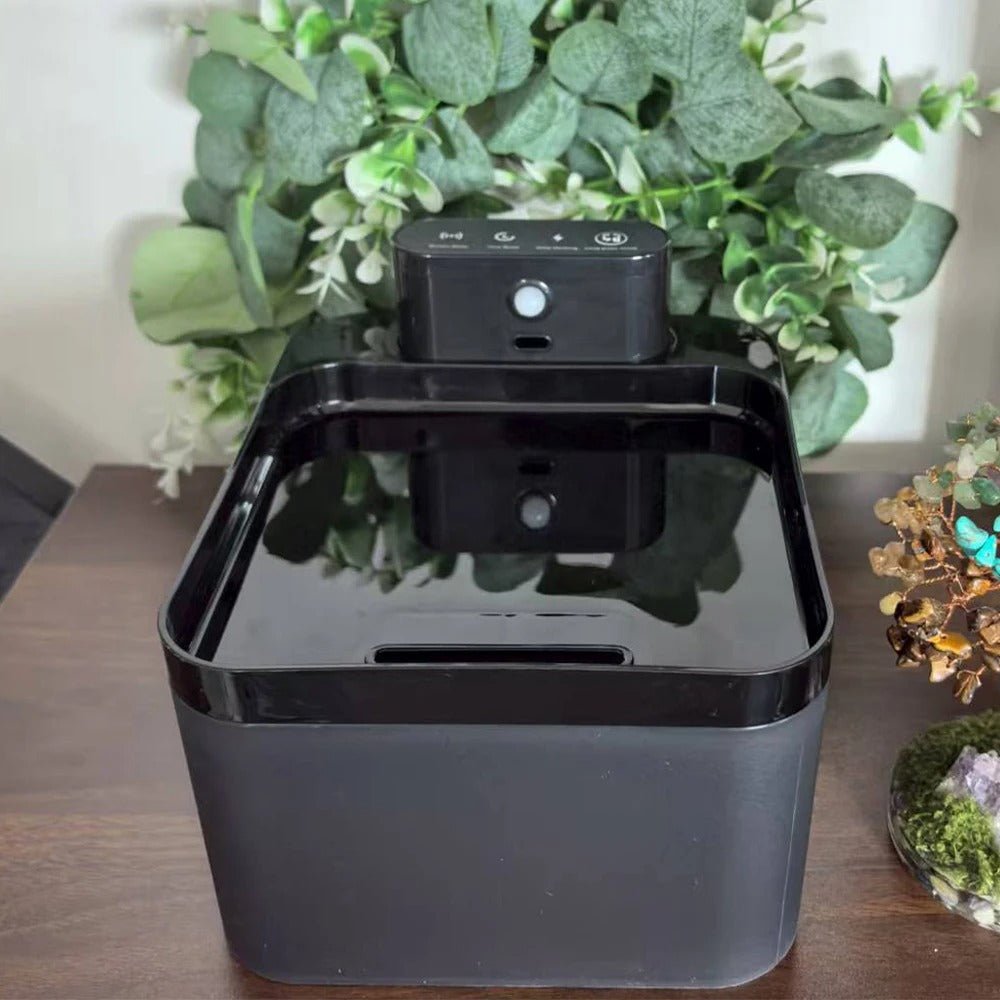 FONTAINE A EAU CHAT SANS FILS | RECHARGEABLE 2L - Leschamour