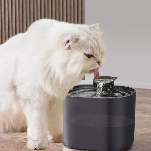 FONTAINE À EAU CHAT | SILENCIEUSE - Leschamour