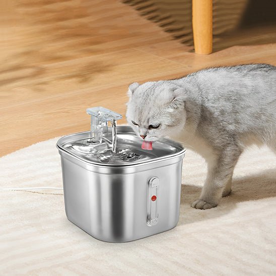 FONTAINE A EAU POUR CHAT | AVEC CAPTEUR DE MOUVEMENT - pratique Leschamour