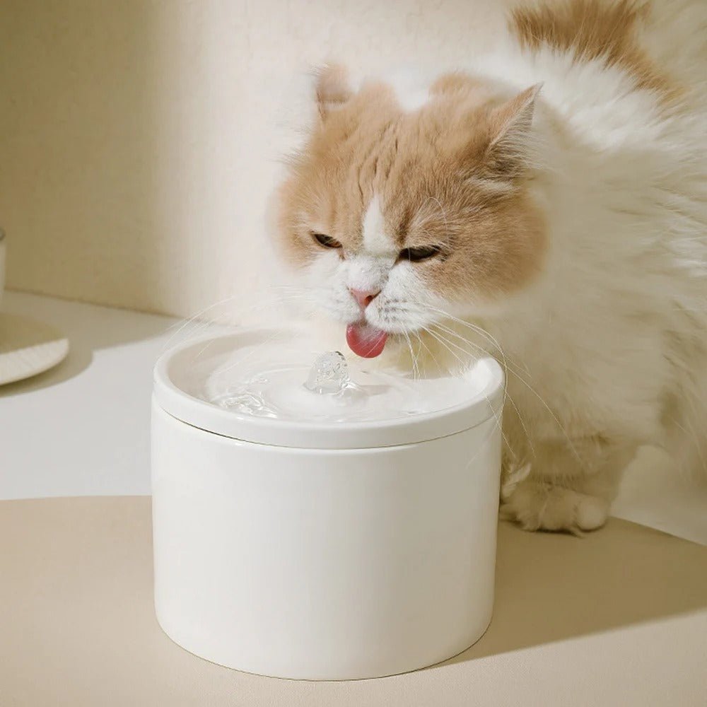 FONTAINE A EAU POUR CHAT CERAMIQUE | BLANCHE - Leschamour