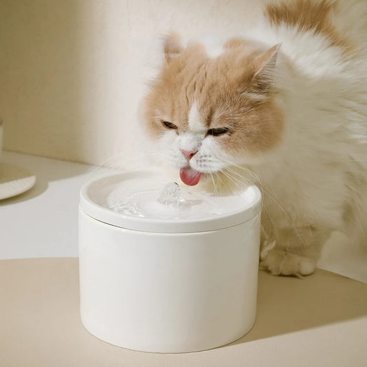 fontaine a eau pour chat ceramique blanche