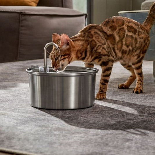 FONTAINE A EAU POUR CHAT | RONDE - Leschamour