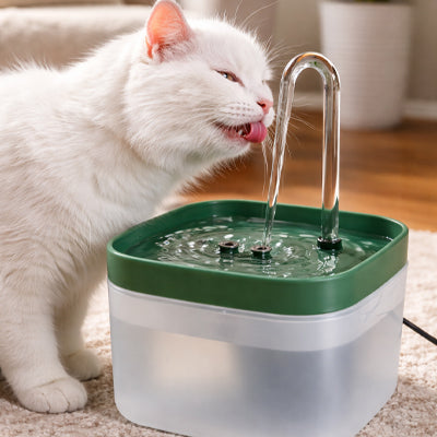 fontaine à eau pour chat silencieuse