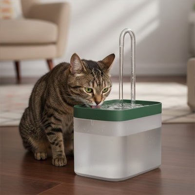 FONTAINE À EAU POUR CHAT | TRANSPARENTE - Leschamour