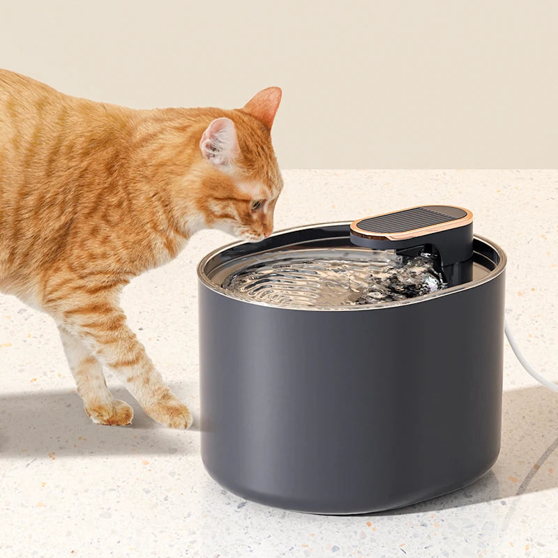 fontaine-à-eau-pour-chat-watercat-bleue