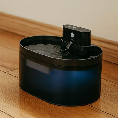 Fontaine chat sans fil rechargeable capteur de mouvement