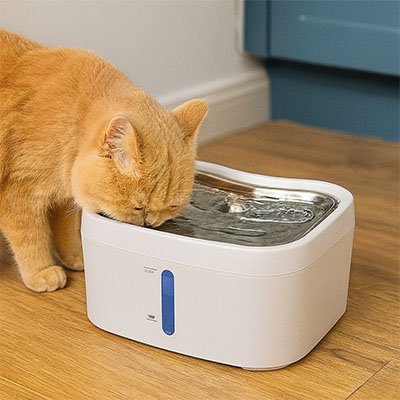 Fontaine eau chat plastique