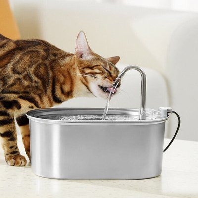 Fontaine eau chat silencieuse moderne