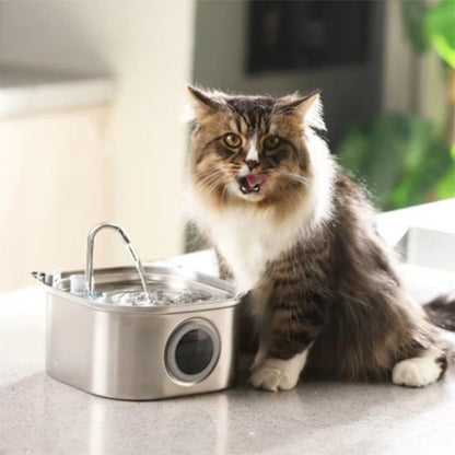 fontaine eau pour chat silencieuse acier inoxydable