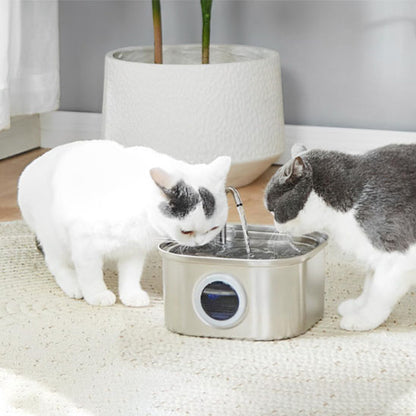 fontaine eau pour chat silencieuse grise