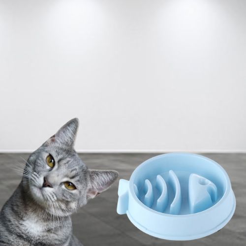 GAMELLE ANTI GLOUTON CHAT | ANTIDÉRAPANTE - Leschamour
