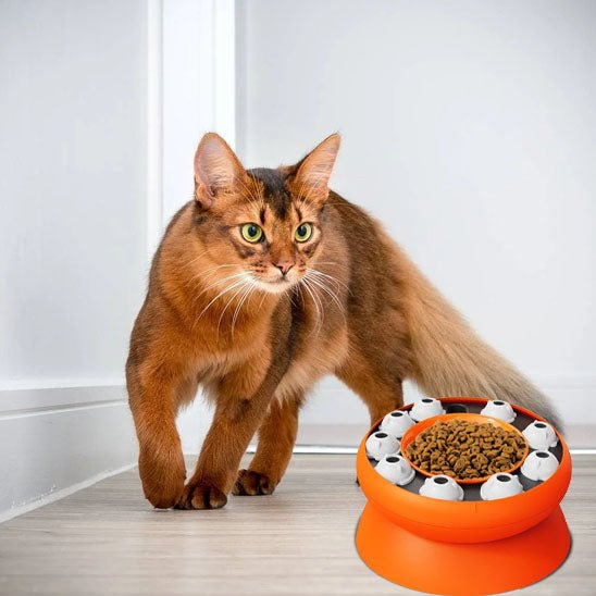 GAMELLE ANTI GLOUTON CHAT | JOUET PUZZLE INTERACTIF - Leschamour