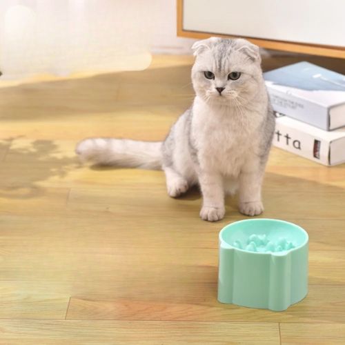 GAMELLE ANTI GLOUTON CHAT | RONDE - Leschamour