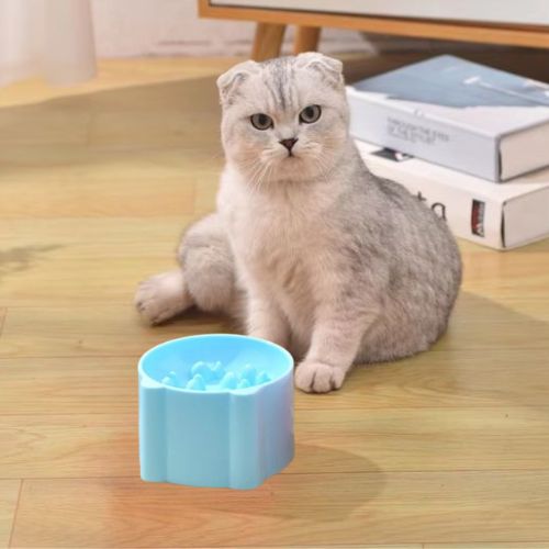 GAMELLE ANTI GLOUTON CHAT | RONDE - Leschamour