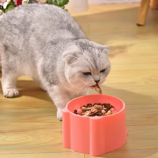 GAMELLE ANTI GLOUTON CHAT | RONDE - Leschamour