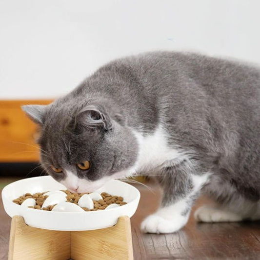 GAMELLE ANTI GLOUTON CHAT | SURÉLEVÉE - Leschamour