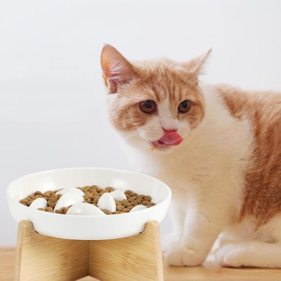 GAMELLE ANTI GLOUTON CHAT | SURÉLEVÉE - Leschamour