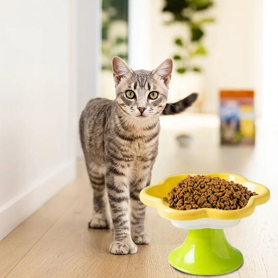 GAMELLE CÉRAMIQUE POUR CHAT | MOTIF FLORAL - Leschamour