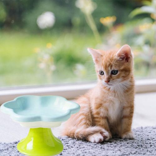 GAMELLE CÉRAMIQUE POUR CHAT | MOTIF FLORAL - Leschamour