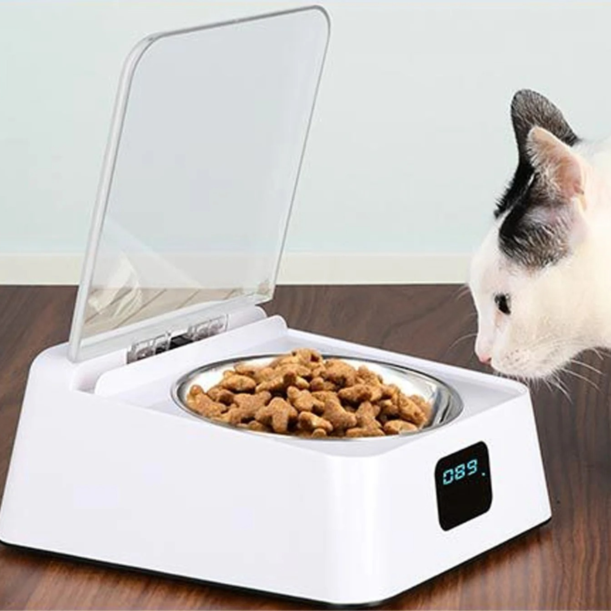 gamelle chat automatique antidérapante