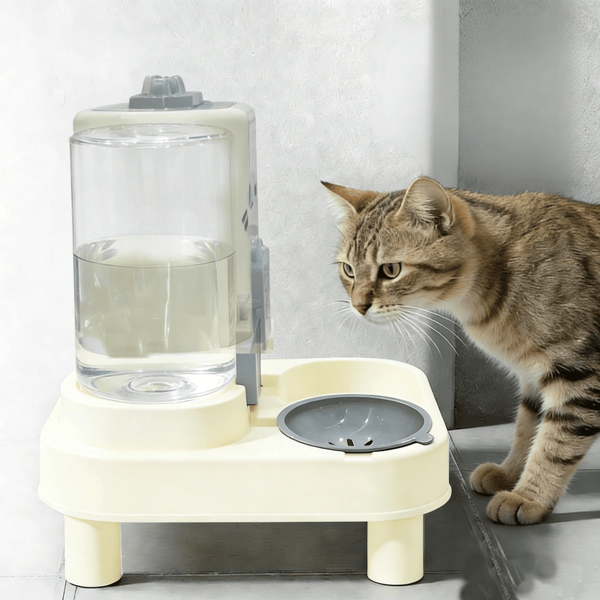 GAMELLE CHAT DISTRIBUTEUR | SURÉLEVÉE - Leschamour