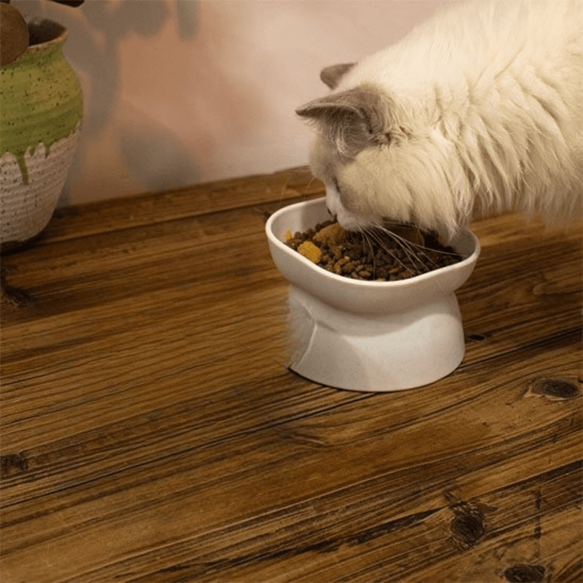 GAMELLE CHAT HAUTEUR | INCLINÉE - Leschamour