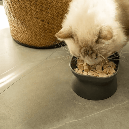 GAMELLE CHAT HAUTEUR | INCLINÉE - Leschamour