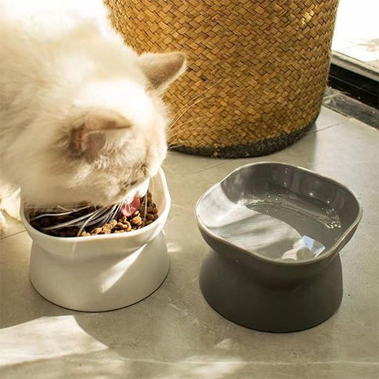Gamelle chat hauteur plastique
