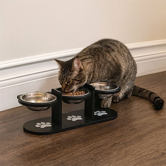 GAMELLE CHAT INCLINÉE | 3 BOLS EN ACIER INOXYDABLE - Leschamour