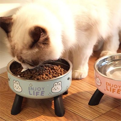Gamelle chat surélevée acier inoxydable