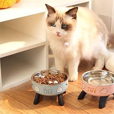 GAMELLE CHAT SURÉLEVÉE | ANTIDÉRAPANTE - Leschamour