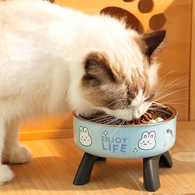 Gamelle chat surélevée bleue
