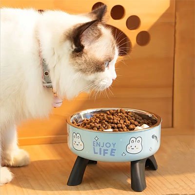 Gamelle chat surélevée ergonomique