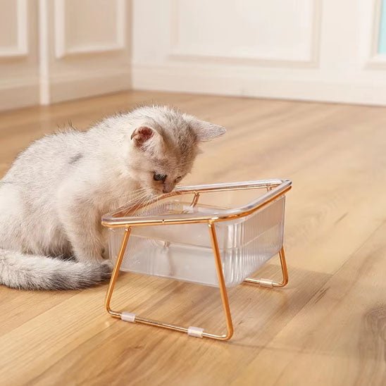 GAMELLE CHAT SURÉLEVÉE | SUR PIEDS TRANSPARENTE - Leschamour