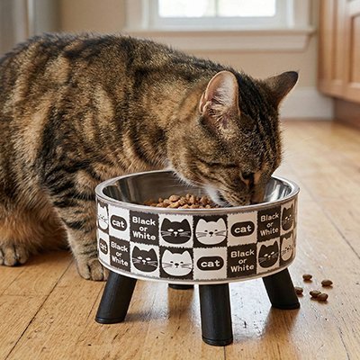 GAMELLE ERGONOMIQUE CHAT | EN ACIER INOXYDABLE - Leschamour