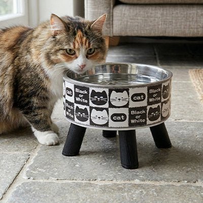 GAMELLE ERGONOMIQUE CHAT | EN ACIER INOXYDABLE - Leschamour