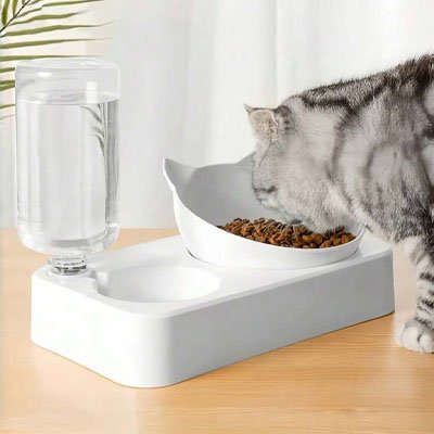 Gamelle inclinée chat antidérapante