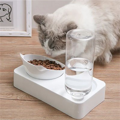 Gamelle inclinée chat ergonomique