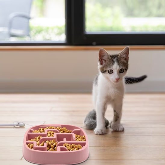 Gamelle labyrinthe chat carrée alimentation lente