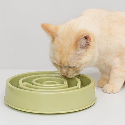 Gamelle labyrinthe chat ronde verte