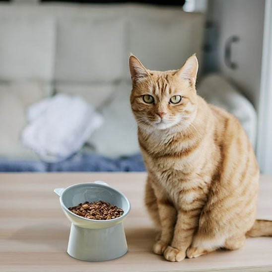 GAMELLE POUR CHAT | ANTI ÉTOUFFEMENT - Leschamour