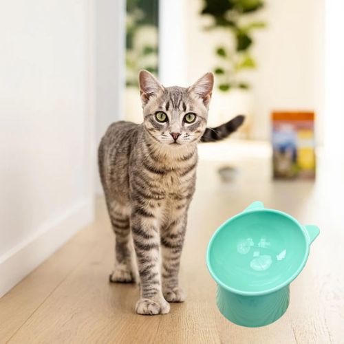 GAMELLE POUR CHAT | ANTI ÉTOUFFEMENT - Leschamour