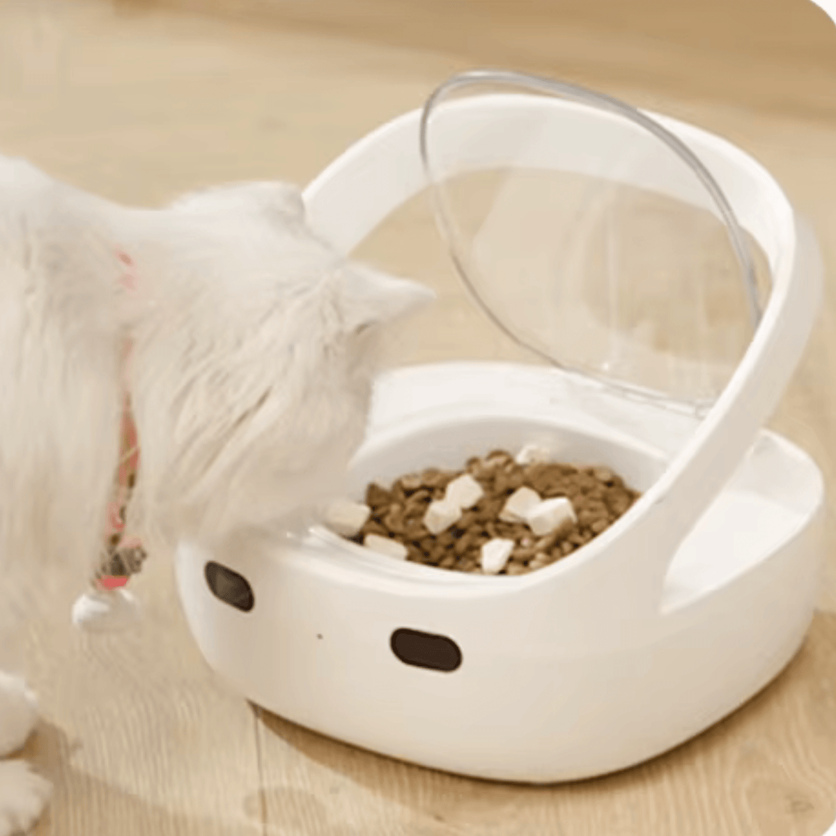 GAMELLE POUR CHAT AUTOMATIQUE | AVEC COLLIER ET APPLICATION - Leschamour