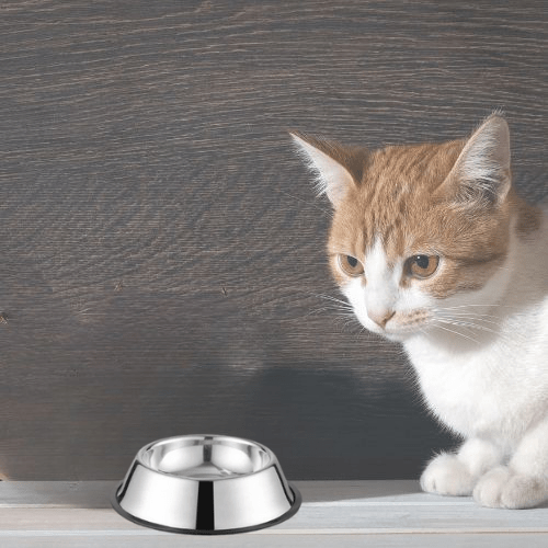 GAMELLE POUR CHAT | EN ACIER INOXYDABLE ET ANTIDÉRAPANTE - Leschamour