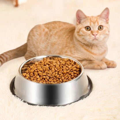 GAMELLE POUR CHAT | EN ACIER INOXYDABLE ET ANTIDÉRAPANTE - Leschamour