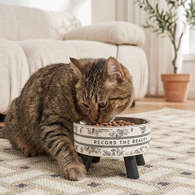 GAMELLE POUR CHAT EN HAUTEUR | EN ACIER INOXYDABLE - Leschamour