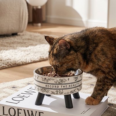 GAMELLE POUR CHAT EN HAUTEUR | EN ACIER INOXYDABLE - Leschamour