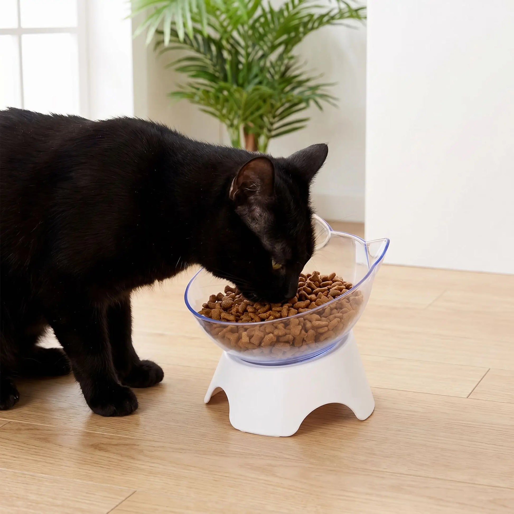 gamelle pour chat inclinée ergonomique