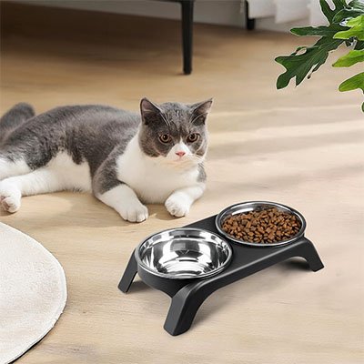 Gamelles surélevées chat en acier inoxydable noires